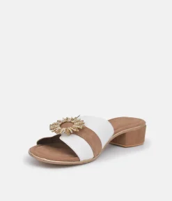 BOTTEGA Leather/Suede Embellished Slip On Sandal