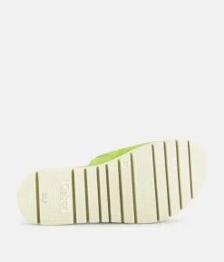 Gabor Stylish Green Suede Mule Sandals