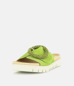 Gabor Stylish Green Suede Mule Sandals