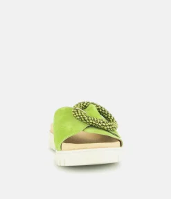 Gabor Stylish Green Suede Mule Sandals