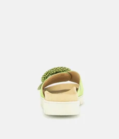 Gabor Stylish Green Suede Mule Sandals