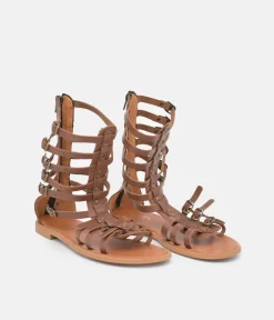 Glaritis Brown Strappy Gladiator Sandals