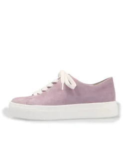 Semler Stylish Lavender Suede Sneaker